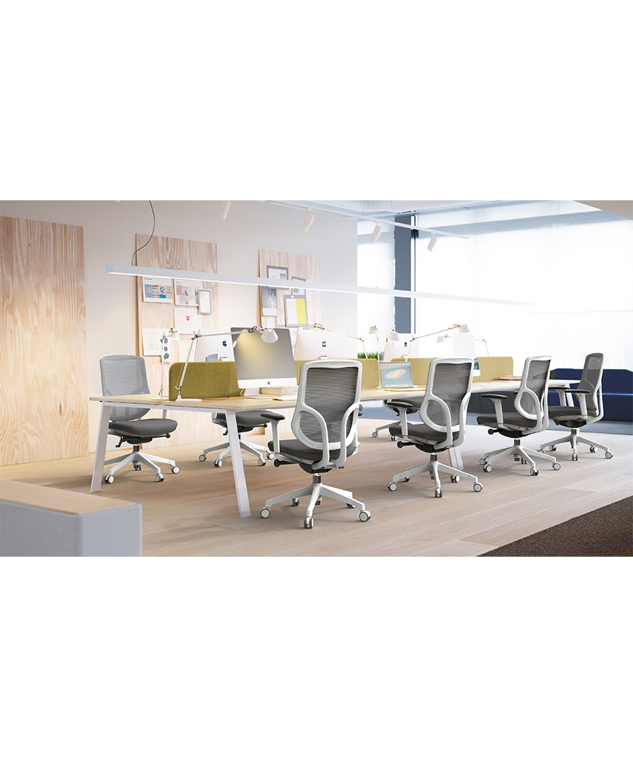 Ergol Chic D258 Chair - 图片 19