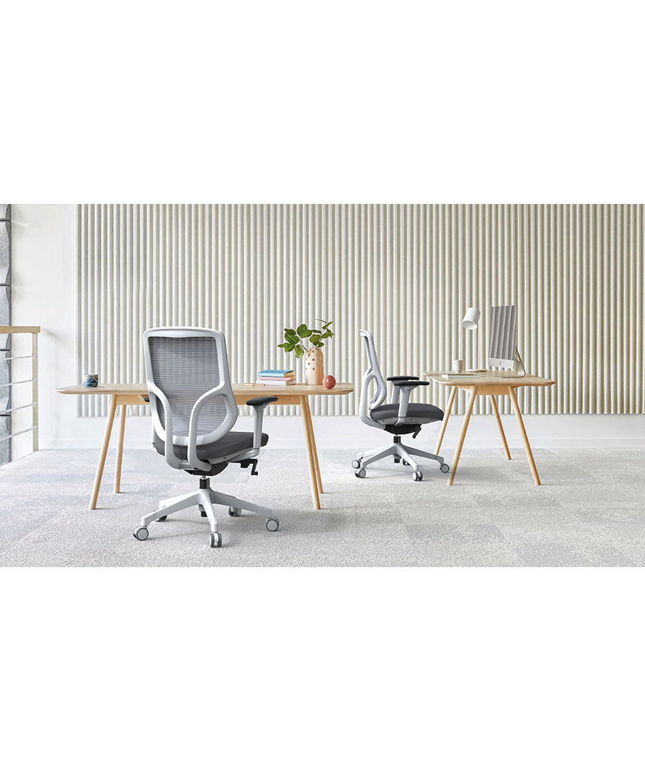 Ergol Chic D258 Chair - 图片 18