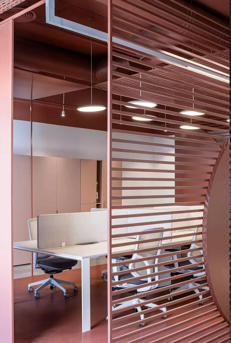 Ergol Chic D258 Chair - 图片 12