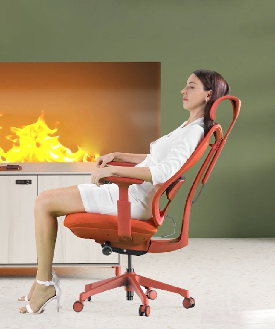 Ergol Titan D270Chair - 图片 6