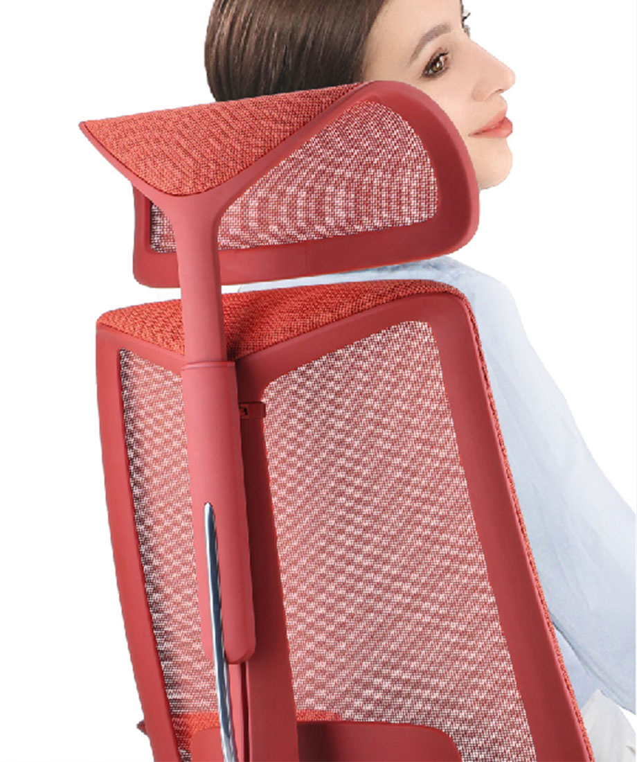 Ergol Titan D270Chair - 图片 4