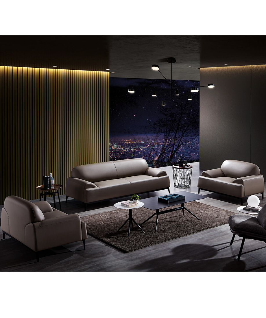 Ergol Y546 Sofa - 图片 3